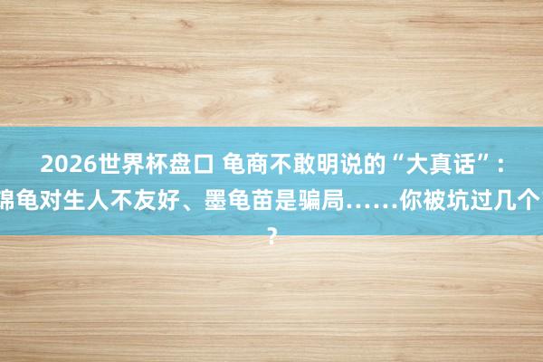 2026世界杯盘口 龟商不敢明说的“大真话”：锦龟对生人不友好、墨龟苗是骗局……你被坑过几个？