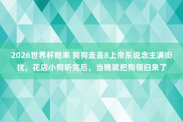 2026世界杯赔率 狗狗走丢8上帝东说念主满街找，花店小狗听完后，当晚就把狗领归来了
