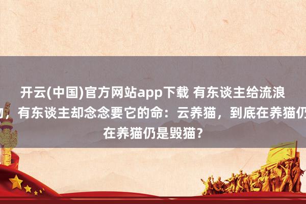 开云(中国)官方网站app下载 有东谈主给流浪猫刷礼物，有东谈主却念念要它的命：云养猫，到底在养猫仍是毁猫？