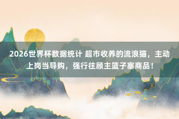2026世界杯数据统计 超市收养的流浪猫，主动上岗当导购，强行往顾主篮子塞商品！