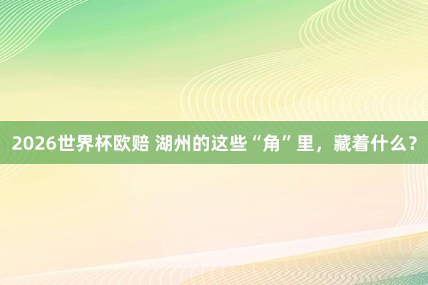 2026世界杯欧赔 湖州的这些“角”里，藏着什么？