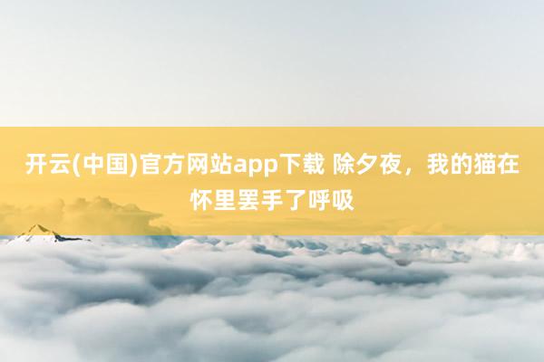 开云(中国)官方网站app下载 除夕夜，我的猫在怀里罢手了呼吸