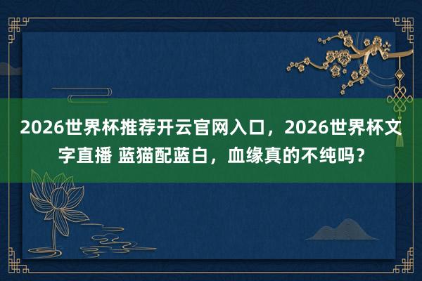 2026世界杯推荐开云官网入口，2026世界杯文字直播 蓝猫配蓝白，血缘真的不纯吗？