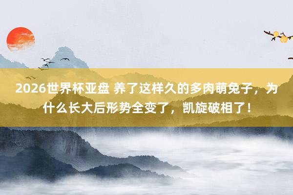 2026世界杯亚盘 养了这样久的多肉萌兔子，为什么长大后形势全变了，凯旋破相了！