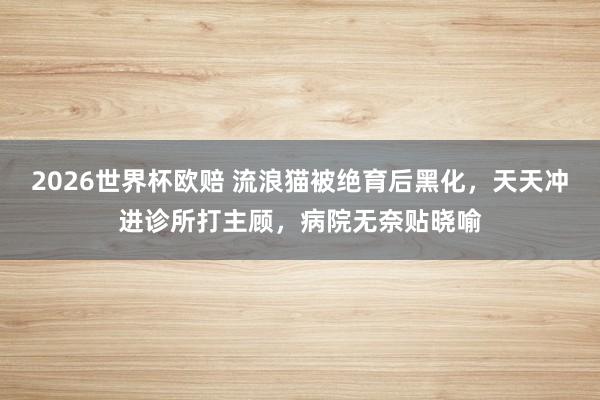 2026世界杯欧赔 流浪猫被绝育后黑化，天天冲进诊所打主顾，病院无奈贴晓喻