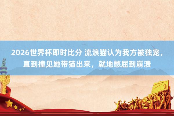 2026世界杯即时比分 流浪猫认为我方被独宠，直到撞见她带猫出来，就地憋屈到崩溃