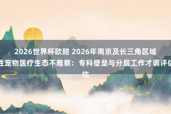 2026世界杯欧赔 2026年南京及长三角区域性宠物医疗生态不雅察：专科壁垒与分层工作才调评估