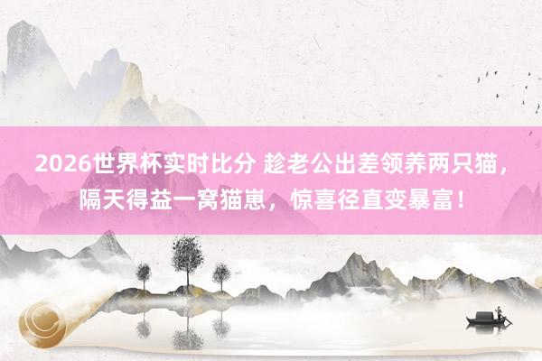 2026世界杯实时比分 趁老公出差领养两只猫，隔天得益一窝猫崽，惊喜径直变暴富！