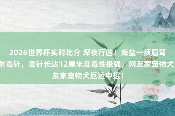 2026世界杯实时比分 深夜行凶！海盐一须眉驾摩托持弩射毒针，毒针长达12厘米且毒性极强，网友家宠物犬厄运中招！