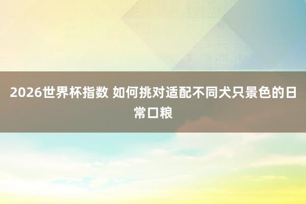 2026世界杯指数 如何挑对适配不同犬只景色的日常口粮