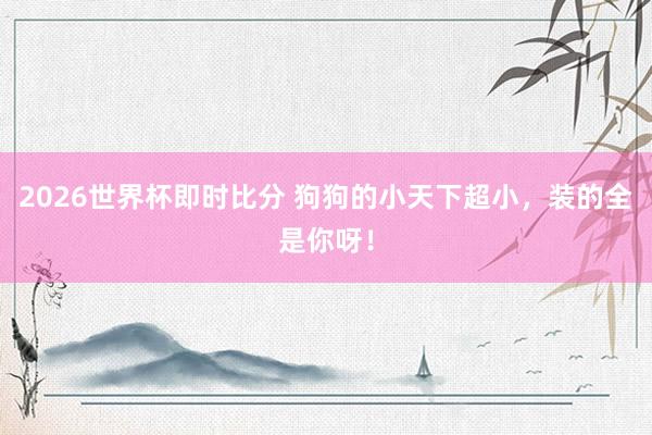 2026世界杯即时比分 狗狗的小天下超小，装的全是你呀！