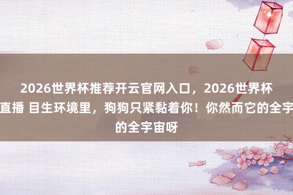 2026世界杯推荐开云官网入口，2026世界杯文字直播 目生环境里，狗狗只紧黏着你！你然而它的全宇宙呀