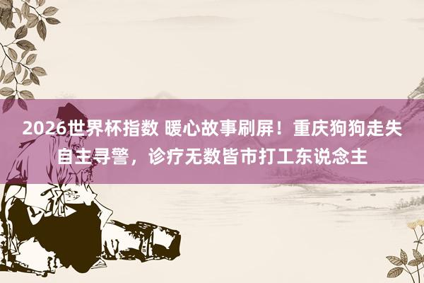 2026世界杯指数 暖心故事刷屏！重庆狗狗走失自主寻警，诊疗无数皆市打工东说念主