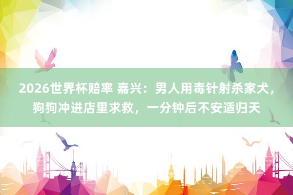 2026世界杯赔率 嘉兴：男人用毒针射杀家犬，狗狗冲进店里求救，一分钟后不安适归天
