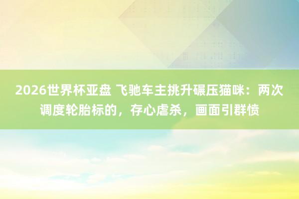 2026世界杯亚盘 飞驰车主挑升碾压猫咪：两次调度轮胎标的，存心虐杀，画面引群愤