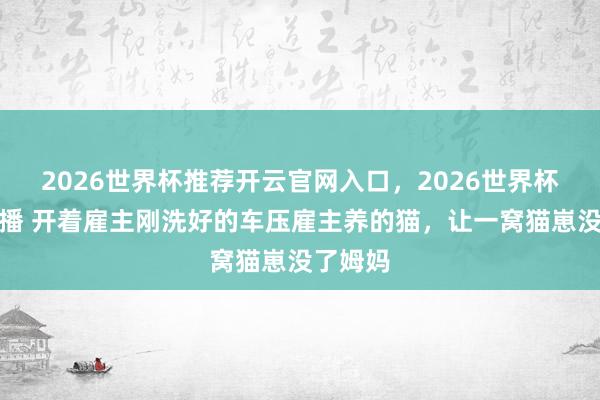 2026世界杯推荐开云官网入口，2026世界杯文字直播 开着雇主刚洗好的车压雇主养的猫，让一窝猫崽没了姆妈