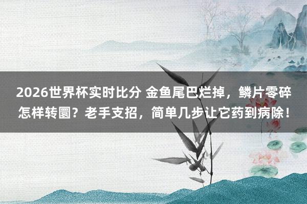 2026世界杯实时比分 金鱼尾巴烂掉，鳞片零碎怎样转圜？老手支招，简单几步让它药到病除！