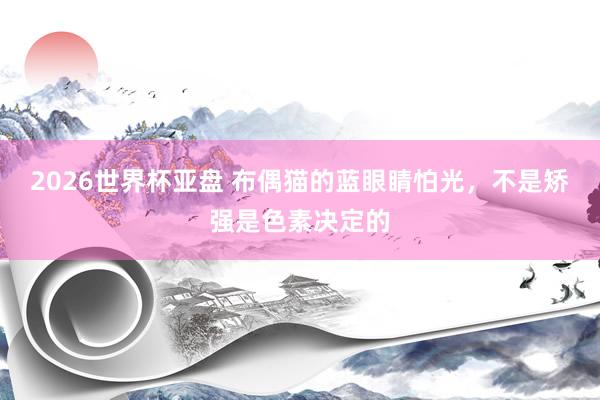 2026世界杯亚盘 布偶猫的蓝眼睛怕光，不是矫强是色素决定的