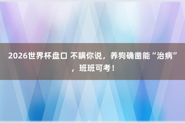2026世界杯盘口 不瞒你说，养狗确凿能“治病”，班班可考！
