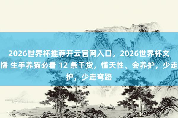 2026世界杯推荐开云官网入口，2026世界杯文字直播 生手养猫必看 12 条干货，懂天性、会养护，少走弯路
