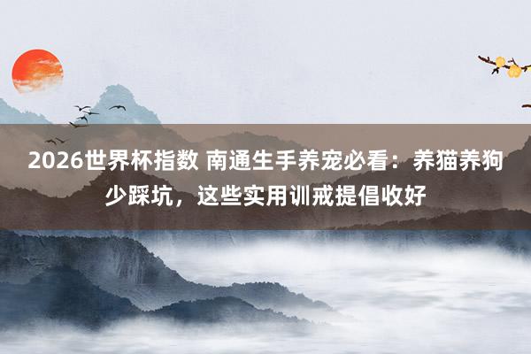 2026世界杯指数 南通生手养宠必看：养猫养狗少踩坑，这些实用训戒提倡收好