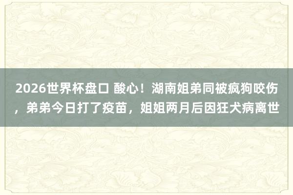 2026世界杯盘口 酸心！湖南姐弟同被疯狗咬伤，弟弟今日打了疫苗，姐姐两月后因狂犬病离世