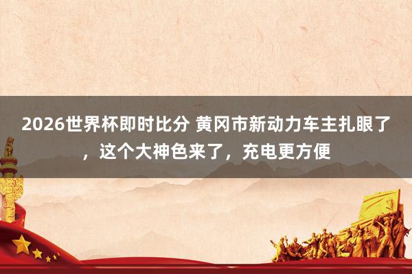 2026世界杯即时比分 黄冈市新动力车主扎眼了，这个大神色来了，充电更方便
