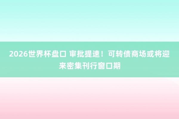 2026世界杯盘口 审批提速！可转债商场或将迎来密集刊行窗口期