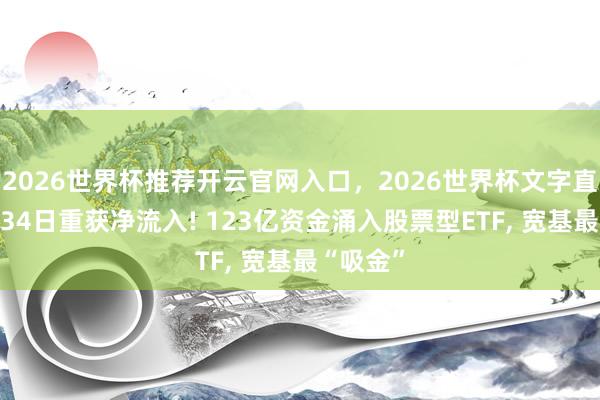 2026世界杯推荐开云官网入口，2026世界杯文字直播 时隔34日重获净流入! 123亿资金涌入股票型ETF， 宽基最“吸金”