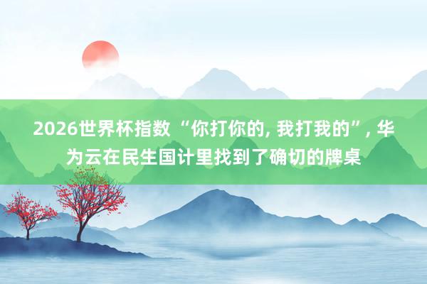 2026世界杯指数 “你打你的， 我打我的”， 华为云在民生国计里找到了确切的牌桌