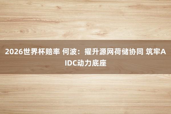 2026世界杯赔率 何波：擢升源网荷储协同 筑牢AIDC动力底座