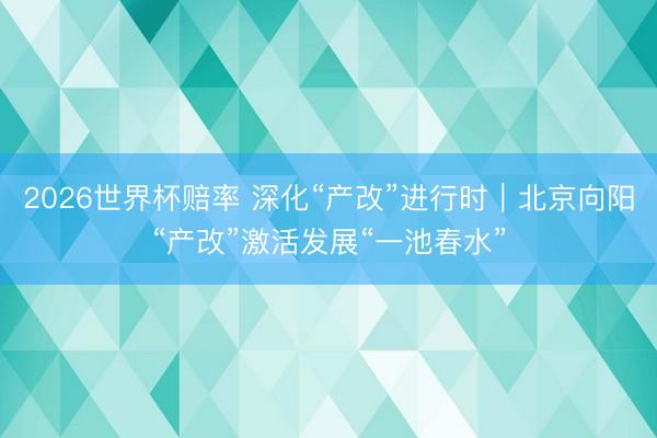 2026世界杯赔率 深化“产改”进行时｜北京向阳“产改”激活发展“一池春水”