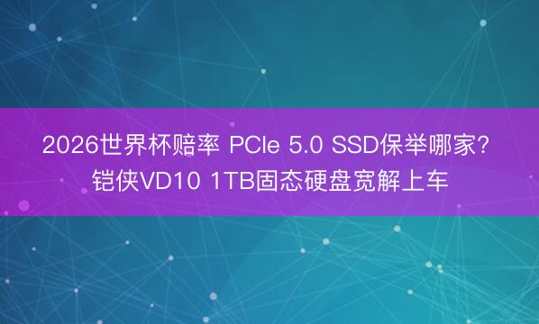 2026世界杯赔率 PCIe 5.0 SSD保举哪家? 铠侠VD10 1TB固态硬盘宽解上车