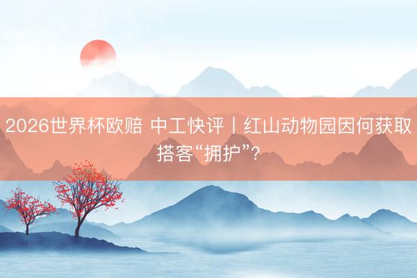 2026世界杯欧赔 中工快评丨红山动物园因何获取搭客“拥护”？