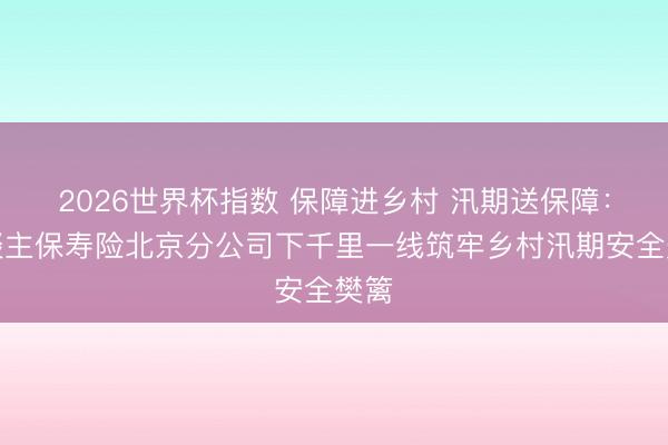 2026世界杯指数 保障进乡村 汛期送保障：东谈主保寿险北京分公司下千里一线筑牢乡村汛期安全樊篱